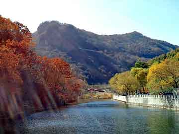 新澳精准资料免费大全，北海道自驾游车祸